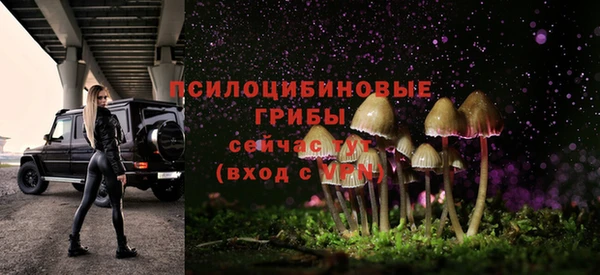 стаф Баксан